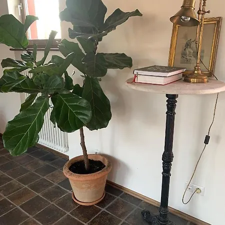 Apartment Scheune Im Grünen