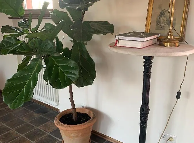 Apartament Scheune Im Gruenen